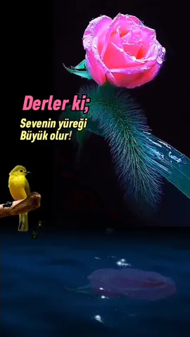 #hayırlısı  #hayırlıakşamlar  #hayırdediklerim 