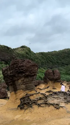 Chasing waves and sculpted stones at Yehliu Geo Park. It’s like walking through a real-life museum! 🌊🎨 #yehliu #taiwan #taiwan🇹🇼 #fyp 