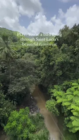 Let’s go ziplining on the longest and fastest zip in St. Lucia 📍Treetop Adventure Park Creds: IG @ mynameissharmila  #fyp #traveltiktok #zipline #pov #visitstlucia #traveltok #saintlucia 