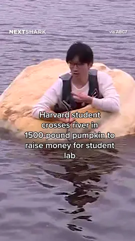 Harvard student crosses river in 1500-pound pumpkin to raise money for student lab #harvard #pumpkin #spookyszn #news #fyp #nextshark