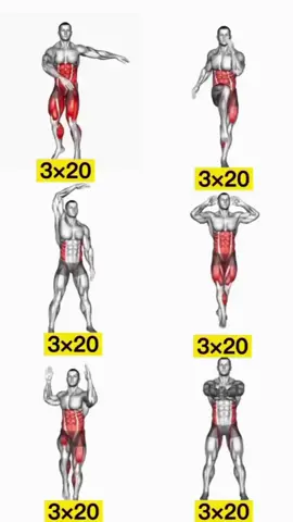 Treino completo de aquecimento direcionado ao abdômen e pernas. #monetizartiktok #fy #multifunctional #treinomasculino #treinofeminino #treinoemcasa 