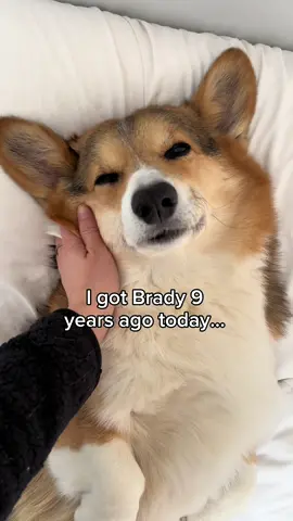 I can’t believe it has been 9 years since I met my best friend. Brady has gotten me through some tough times and continues to be my rock today. He is an angel sent to me from above. His positive energy and larger than life attitude makes me smile and laugh every single day. I truly, genuinely do not know what I would do without him. Happy gotcha day, my Brady the pig. Momma loves you so much ❤️❤️❤️.  #gotchaday #corgi #corgipuppy #puppy #dogmom 