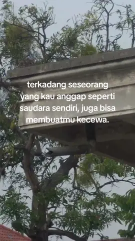 bagaimana pun kau tetaplah saudaraku walau sudah mengecewakanku!! #fyp #galaubrutal #sad #fypシ #foryou #foryoupage #xyzbca #fyppppppppppppppppppppppp 
