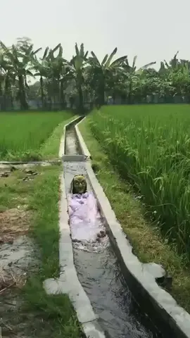 #Funnymoment #funny 