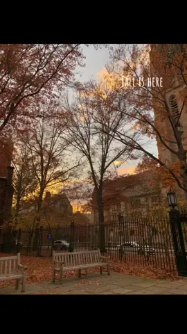 #greenscreen #fallishere #fall #falltime #crispmornings #gilmoregirls #coffee #fallweather #fyp #foryou #foryoupage #fypシ 