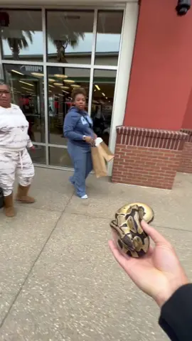 WILL YOU HOLD MY SNAKE PRANK GONE WRONG🤣🤣🤣🤣 **STAGED** #fypシ #foryoupage #viral #repost #funny #share #explore #funnyvideos #viral 