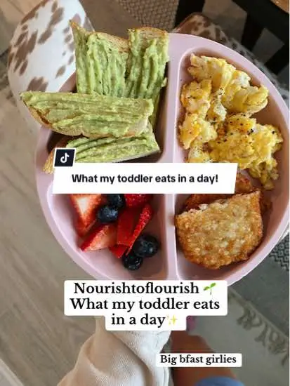 + an unpictured TJ’s bar 🤪 #toddlermeals #toddlerbreakfast #toddlerdinner #toddlerlunchideas #toddlersnacks #toddlermealinspo #toddlermom #balancedmeal #MomsofTikTok #sahm #momtok #fyp 