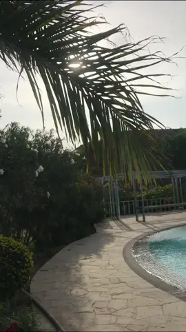 Ya falta poco… 💪🧘‍♂️ #piscinasolimpicas #perupiscinas #construcciondepiscinas #sion #resortperu #resort #relaxingvideos #arquitecturaypaisaje #paisajismos #arquitectura 