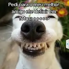 eu amei isso kkkkkkkk #trend #friends #pediparameusamigos #medefine 