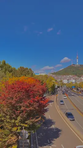 Noksapyeong Overpass (Itaewon Bridge) in All Its Autumn Glory! 🌆🍁 My visit to this gem last Saturday was pure magic, even with the leaves just starting their color-changing journey at 40%! I can only imagine how stunning it must look now! Who's exploring Seoul this week? Don't miss out on Noksapyeong Overpass for some seriously beautiful Seoul Tower pics! 📸 📽️📍: Noksapyeong Station 📸📅: October 21, 2023 #HelloFrom #Seoul #서울여행 #SouthKorea #틱톡여행 #traveltiktoks #KoreaTravel #AutumnInKorea #AutumnInSeoul 