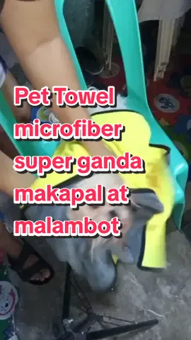 Pet Towel super ganda makapal at malambot #pettowel #pettowelbath #petlover #doglover #tiktok #fyp 