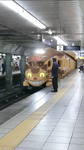 I dream of Tokyo trains.  #Totoro #Tokyo #Miyazaki #studioghibli 