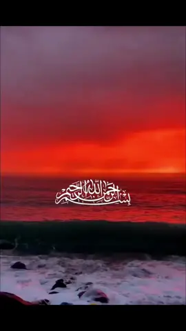 #islamic_video #muslim #telawat #quran #viralislamicvideo #allha #frypgシ #foryoupage #viral 