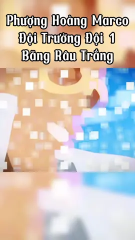 Phuọng hoàng marco #luffy #onepiece #79khanhhoa #anime #bangmurom #daohaitac #nhutvuongofficial 