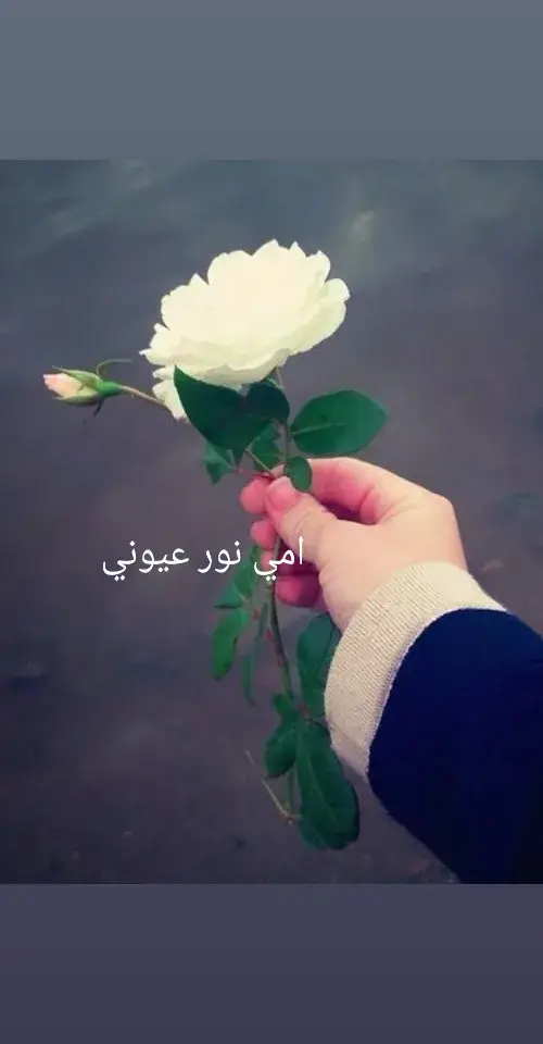 #capcut #قلبها_أبيض #امي_جنة #🥰😍🤩😘♥️❤️💖💗💞❣️ 