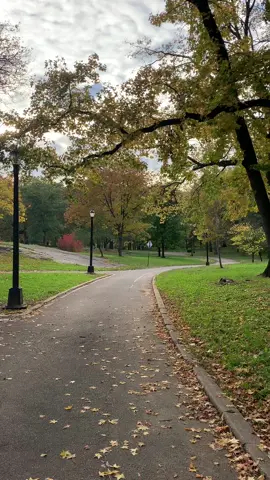 #autumn #autumninnewyork #foliage #bronx #nature 