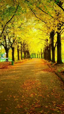 #قران_كريم #اكسبلور #explore #ارح_سمعك_بالقران @A❤️❤️❤️_cr7 صلو على النبي صلى الله عليه وسلم