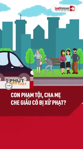 Con Phạm Tội, Cha Mẹ Che Giấu Có Bị Xử Phạt? #luat #luatvietnam #luatsu #kienthuc #phapluat #LearnOnTikTok #tiktokmentor #dcgr #1phuthieuluat #meovat #tongdailuatvietnam