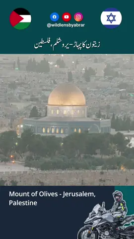 Mount of Olives - Jerusalem, Palestine  #jerusalem #mountolives #palestine #israel #solotravel #palestineisrael 