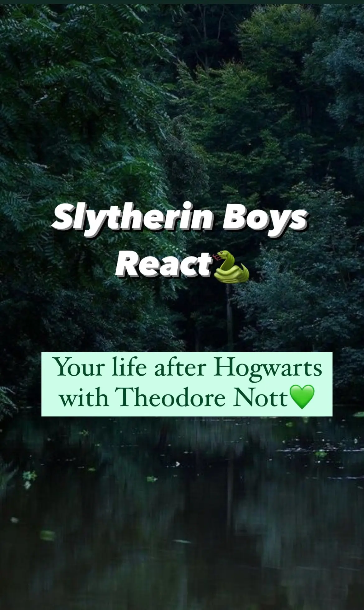 #slytherin #slytherinboys #slytherinboysreact #slideshow #theonott #enzoberkshire #theodorenott #mattheoriddle #lorenzoberkshire #tomriddle #dracomalfoy #blaisezabini #regulusblack #harrypotter #hogwarts #slytherinpov