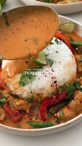 Thai Red Curry with Chicken! Episode 4 of the Cozy 30 Minute Dinner Series 🤎
