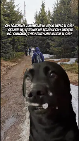 #CapCut #funny #dogs #popcorn 