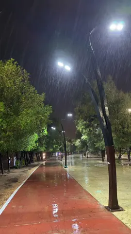#نجران #نجران_الان #غابة_سقام #مطر #مطر_غيوم #امطار 