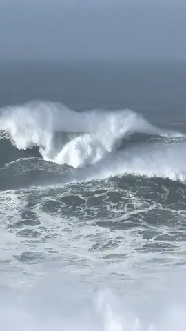 Mais um final de semana de ondas gugantes em Nazaré!!! Repara no piloto fugindo desta onda gigante !! 😱🤩 Se nao tivesse esse vento teriamos ondas deste tamanho na nazare entre 27 a 29/10 #gigantesdenazaré #gigantesdenazarenotiktok #gigantesdenazare 