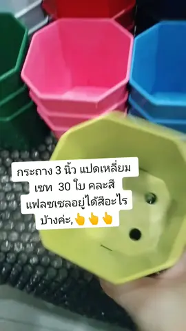 กระถาง 3 นิ้วแปดเหลี่ยม 30 ใบ คละสี ได้สีอะไรบ้างไปดูกันเลยยยยย #กระถาง #กระถางต้นไม้ #กระถางแคคตัส #กระถางปลูกต้นไม้ #กระถางแปดเหลี่ยม #แคคตัส #แคคตัสมือใหม่หัดปลูก @ถังทองออนไลน์ @ถังทองออนไลน์ @ถังทองออนไลน์ 