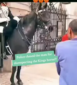 What did the Kings horse do to you #police #chase #rude #man #tourist #visitor #respect #kingcharles #horse #rudeman #buckinghampalace #london #trip #kingsguard 