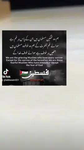 #prayforpalestine #☝🏽💞🕋💞🤲🏽 #YAALLAH #MUHAMMADSAW #fypシ #jummahstatus #fypシ゚viral #palestine🇵🇸 #tabbasam321 