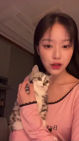 paldonongshimpaldonongshimhyunjin #hyunjin #loossemble #loona #fypシ 
