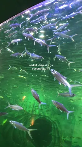 😿
