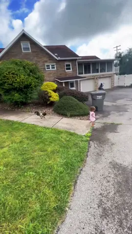 #kidvsrooster 