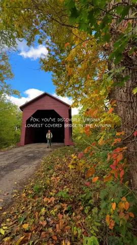 As a fan of New England covered bridges, I was thrilled to discover that Virginia boasts some equally impressive ones. This one, framed by fall foliage, is truly a hidden gem! Filmed 10/21/23 Meem's Bridge, spanning 204 feet, proudly holds the title of Virginia's longest covered bridge. And here's the coolest part - it's the only one you can still drive through! A visit here is like stepping back in time. Close by, you can catch the buzz of today's Interstate 81. This bridge takes its name from the Meem family, who once owned extensive lands in this area. Built between 1892 and 1893, the Meem's Bottom Bridge used local materials for its arch and stone supports, extending 10 feet beneath the riverbed. The bridge stood for more than 80 years until Halloween night in 1976 when vandals set it on fire. But it was saved and rebuilt, reinforcing it with steel and concrete. It welcomed cars once more in 1979 and remains open to this day. Without a doubt, this spot in the Shenandoah Valley is one of the most beautiful stops 🌉🚗🕰️  #lovevirginia #fallmagic #coveredbridge #hiddengemusa 