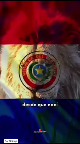 #soyalbirrojo #Losalbirrojos##ñandembaeteete #futbol #futbolparaguayo #tequieroparaguay #leonguarani🇵🇾🦁 #garraguarani #apf#asociacionparaguayadefutbol #seleccionparaguaya #deporte #paraguayitajuky😍🇵🇾 #paraguay 