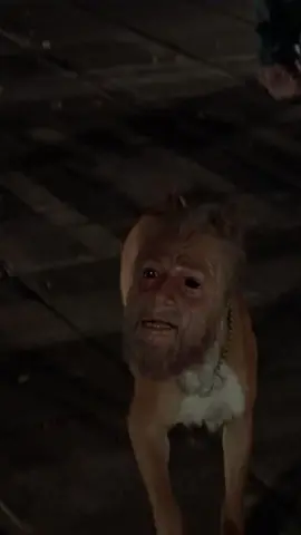 You're welcome for the nightmares. #InvasionoftheBodySnatchers #HBO #TikTokHalloween #HorrorMovie #SciFi