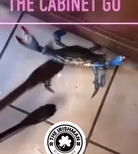 #Stillyourfunnygee💋💋💋💋 
