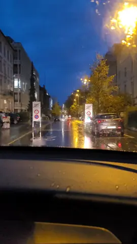#rain #evening #switzerland🇨🇭 #night #driving #fy #foryou