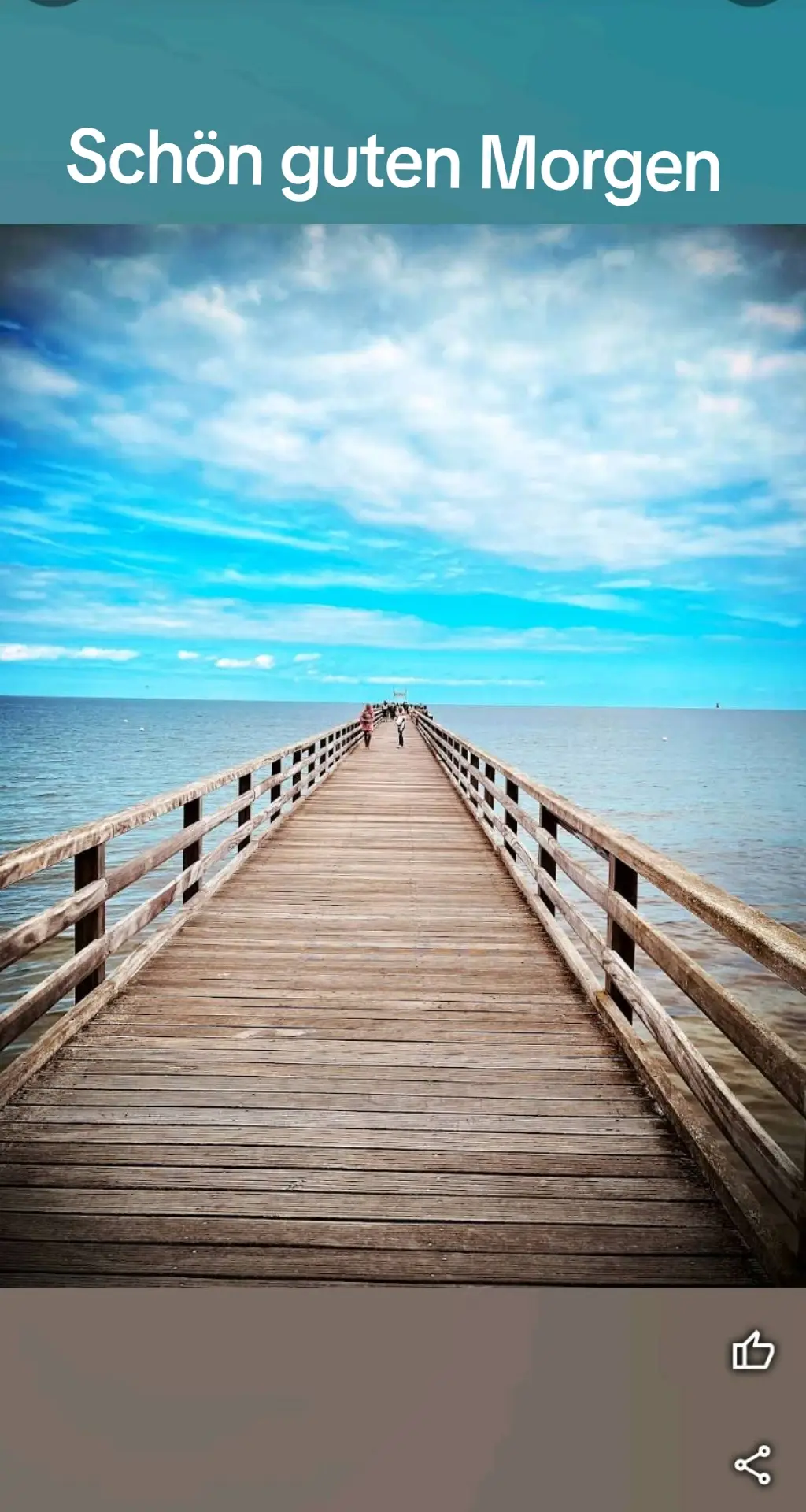 Einen schönen guten Morgen wünsche ich euch ♥️#wochenende #weekend #gutenmorgen #goodmorning #schönengutenmorgen #ostseeküste #grüsse #videoclip #ostsee #nature #coast 