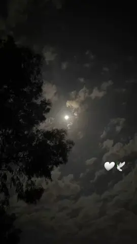 ليله ذي قماري 🕊🤍#صبياء_جيزان_الجنوب #جازان #اكسبلور #❤❤🇸🇦 #نـــودي؟ 