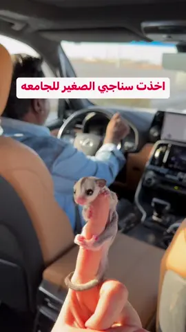 طالبه تأخذ السنجاب مالتها وياها للجامعه #لايك__explore___ #لحلوه_حتئ_استمر #الشعب_الصيني_ماله_حل😂😂 #الانبار_موصل_بغداد_اربيل_كل_المحافظات #تلعفر_موصل_كركوك_دهوك_اربيل_تركيا #الانبار_موصل_بغداد_اربيل_كل_المحافظات 