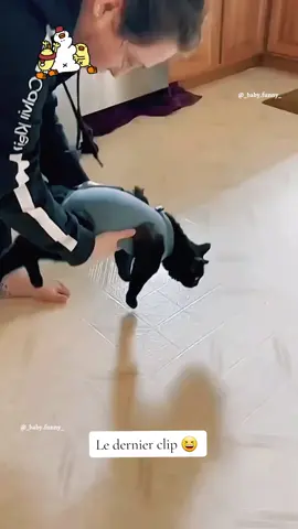 Le dernier clip 😂😂 #chat #chien #drôle #pourtoi #animaux #mignon 