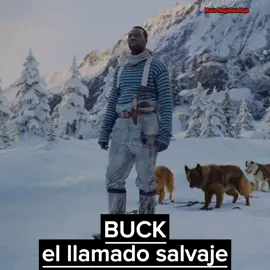 BUCK el llamado salvaje #Buck #elllamadosalvaje #elllamadosalvajepelicula #cachorros #peliculas #moviemagic 