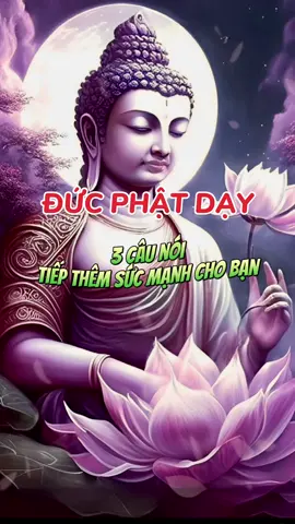 3 câu nói tiếp thêm sức mạnh cho bạn… #adidaphat #phatphapnhiemmau #nammoadidaphat #nammobonsuthichcamauniphat #phatgiao #phatphap #loiphatday #ynghiacuocsong #giacngo #xuhuong #trending 