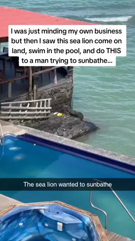 The man at the end was NOT happy 😭😭😭 #Pubity (Via: @ViralHog)