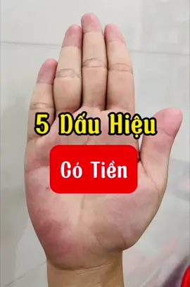 5 dấu hiệu trong lòng bàn tay báo hiệu rất nhiều tiền #xemboi #tuvi #tuvituongso  @Phongthuycatbinh 