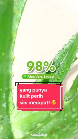 Yang kulit nya perih karena terik sinar matahari sini merapat! 🥰🫶🏼 #herborist #aloeveragel #aloevera #panas #sejuk 