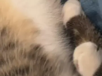 🙄