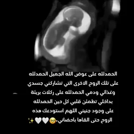 #وزكريا_اذ_نادئ_ربه♡_ربي_لا_تذرني_فردا#اللهم_احفظ_جنيني #اللهم_قرعيني_برؤية_جنيني_سليما_معافى #صغيرتي❤🥺 #اجهاضات_متكررة #الحمدلله_ #حوامل_شهر_الثامن #لايك_متابعة_اكسبلور #اكسبلورexplore #اللهم_امين_يارب_العالمين🤲 #حوامل_شهر_الثامن #قران #قران_كريم_راحة_نفسية #صغيري #الهشتاقات #حالات_واتس #٢٠٢٣❤️🔥 #